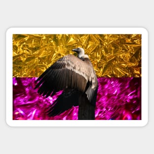 Vulture bicolor II / Swiss Artwork Photography Sticker